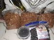 Fresh Dried Fish and Crayfish - 2