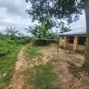 Plots of Land for Sale in Otun Village, Alabata Moniya, Ibadan