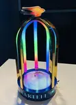 Custom Logo LED Bottle Presenter/Glorifier Light - 2