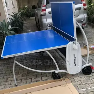 Commercial Outdoor Table Tennis Set