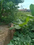Filin Mallam don Siyarwa - Titin Lokoja/Kaduna - 3