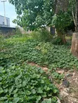 Filin Mallam don Siyarwa - Titin Lokoja/Kaduna - 5