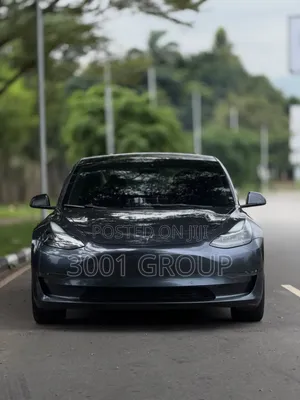 Tesla Model 3 2022
