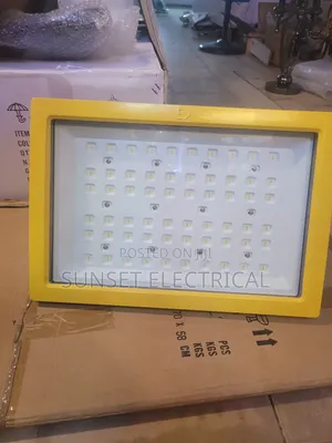 200W EX Flood Light