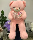 Bebe Teddy Bear - Sabon Zama - 2