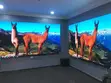 Church LED Screen Solution P2.5 Indoor - 3