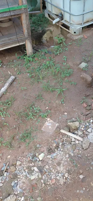 4000sqm Joint Venture Land, Banana Island Ikoyi Lagos