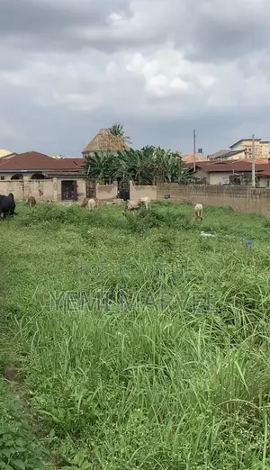 Partially Fenced 2 Plots of Land with CofO at Premier Estate, Elebu