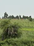 Filin Estate 500sqm da C of O a Idu, Gousa, Abuja - 3