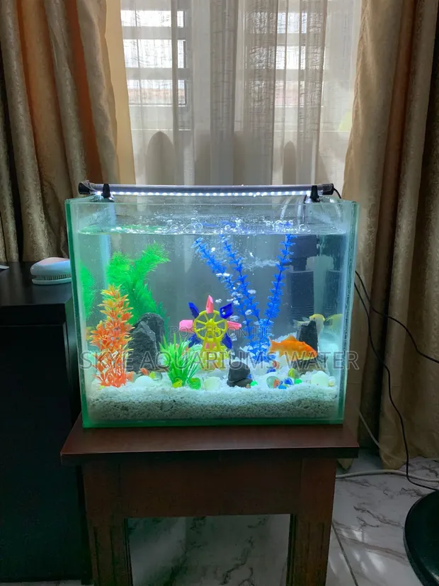 Nano Aquarium - 1