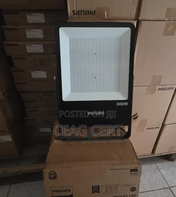 Philips LED Flood Light with Original Choke - 1