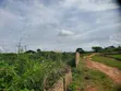 Commercial Land for Sale - Benin/Asaba Expressway - 5