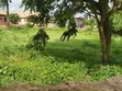 Kasuwancin Ƙasa Don Siyarwa a Babban Okpanam Road, Asaba - 3