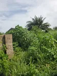 Residential Land for Sale - Issele-Azagba - 3