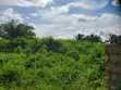 Residential Land for Sale - Issele-Azagba - 4