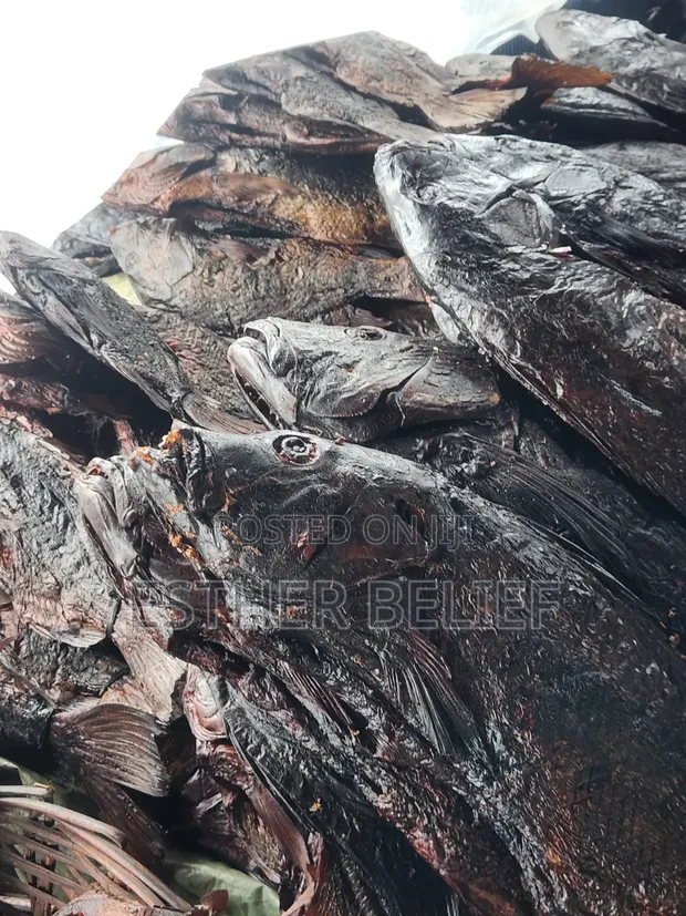 Mai Samar da Kifin Kaka - Red Snapper, Shine Nose, Barracuda - 1
