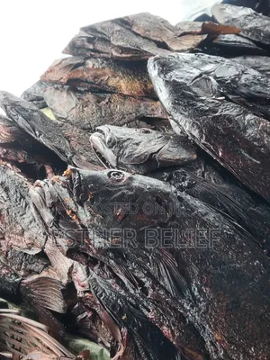 Dry Fish Supplier - Red Snapper, Shine Nose, Barracuda