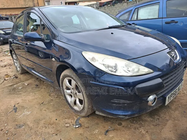 Peugeot 307 1.6 Break 110 Grand Filou Cool 2006 Blue - 1
