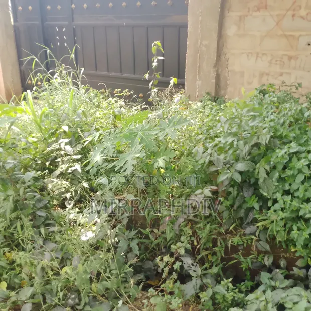 300sqm Land for Sale on Agbani Road, Enugu - 1