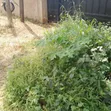 300sqm Land for Sale on Agbani Road, Enugu - 2