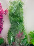 Aquatic Plant (Aquarium Flowers) - 3