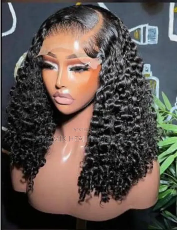 13x4 HD Lace Burmese Front Human Hair Wig - 1