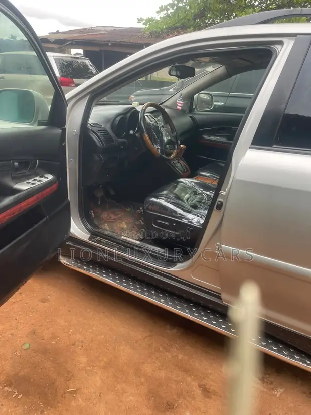 Lexus RX 330 2007 Silver - 1