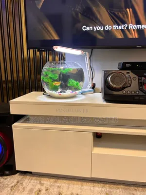 20 Litre Fish Bowl with Light - Complete Setup