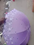 Igiyar Ruwa Mai Kyau Launin Purple - 1