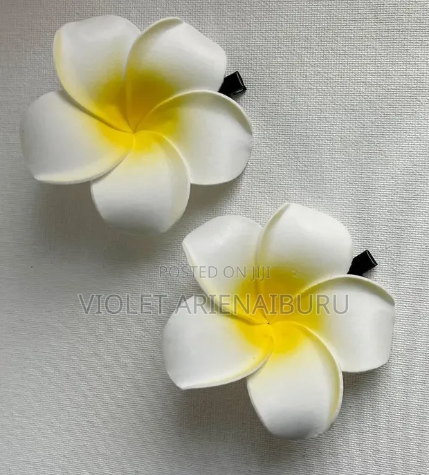 Pumeria Professional Hair Clip - 1