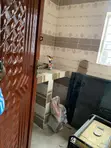 Mini Flat for Rent in Alhaji Ede, Iseri Olofin - 5
