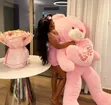 Teddy Bear - Various Sizes Available - 2
