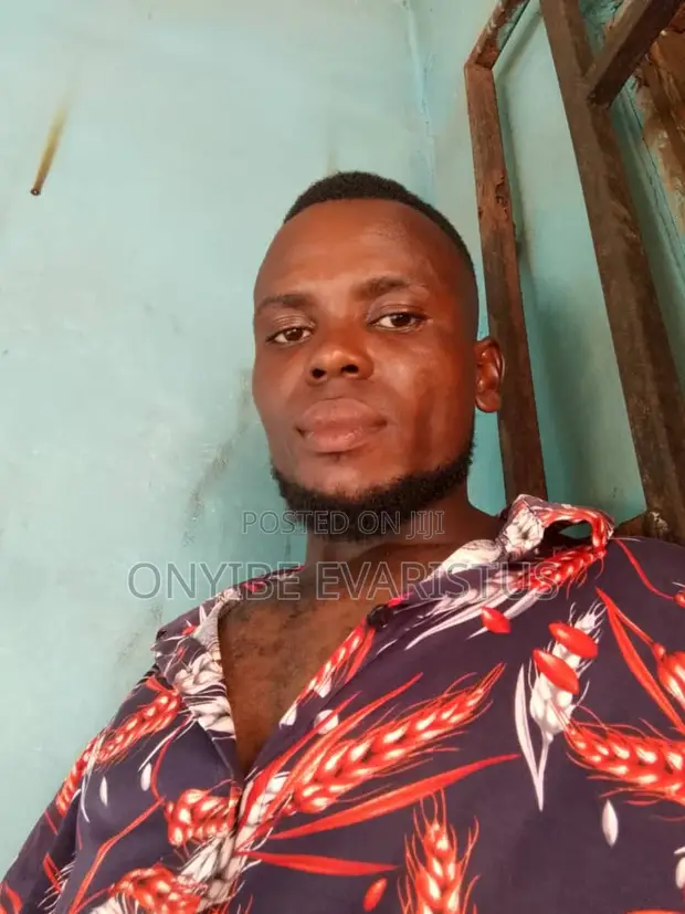 Personal Driver CV - Nwebili Philip Sunday - 1