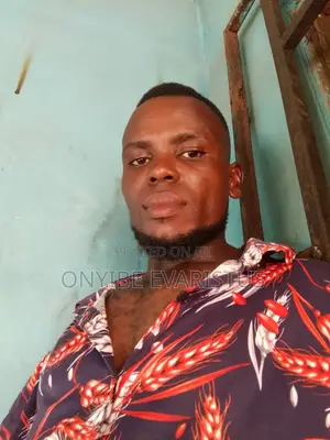 Personal Driver CV - Nwebili Philip Sunday