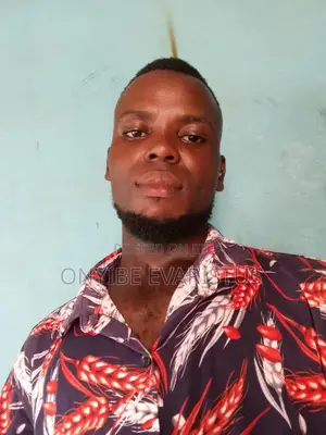 Personal Driver CV - Nwebili Philip Sunday