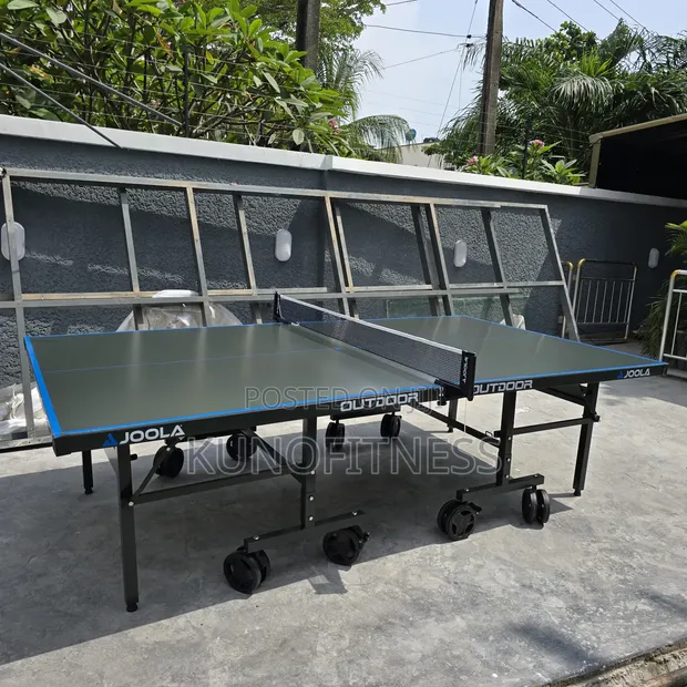 All-Weather Foldable Table Tennis Table (Aluminium Frame) - 1