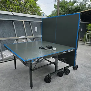 All-Weather Foldable Table Tennis Table (Aluminium Frame)