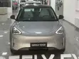 New Geely EX2 2026 Gray - 2