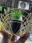 Gold Decorative Accessories - Brand New - 2