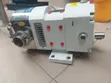 Stainless Steel Gear Pump (1.5 Inch) - 2