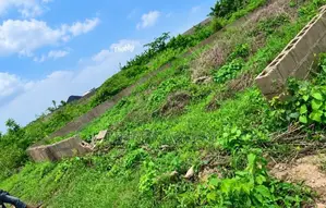 50x100ft Residential Plot for Sale, Benin City