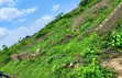 50x100ft Residential Plot for Sale, Benin City - 1