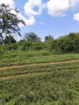 50x100ft Residential Plot for Sale, Benin City - 2