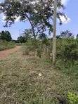 50x100ft Residential Plot for Sale, Benin City - 3