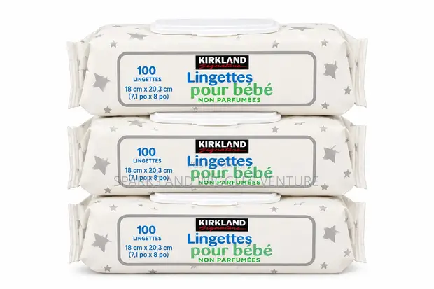 Kirkland Signature Wipes Marasa Kamshi (100 Adadi) - 1