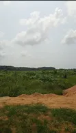 50 Acres Land with Governor's Consent in Shapati, Lekki-Epe Expressway - 1
