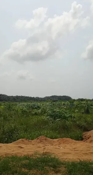 50 Acres Land with Governor's Consent in Shapati, Lekki-Epe Expressway