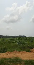 50 Acres Land with Governor's Consent in Shapati, Lekki-Epe Expressway - 2