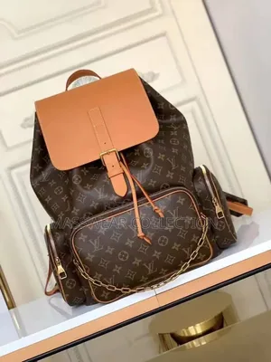 Louis Vuitton Designer Backpack