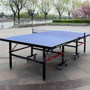 Standard Outdoor Table Tennis With Accessories